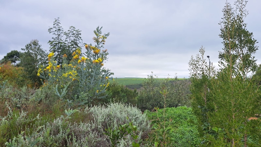 0 Bedroom Property for Sale in Caledon Western Cape